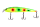 253
