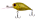155