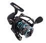   Black Side Cadet 2500FD (5+1 .)