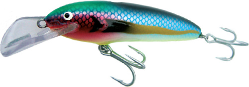 Nils Master Jumbo Shallow