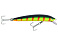 Nils Master Invincible Floating 12cm