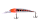 080