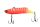 098 Crazy Watermelon