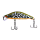 229