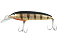 Nils Master Jumbo DD