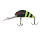 224
