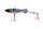 104