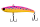 092 Pink Delirium-UV