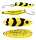 25