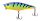 026