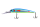 255