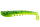 Avokado Green