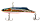 055 Shiny Shad