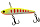 033 Night Canary