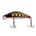 223