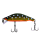 181