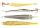 S/G