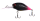 151