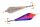 PPH