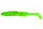 Avokado Green