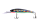 261