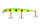 253