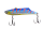 101 Bitten Shad