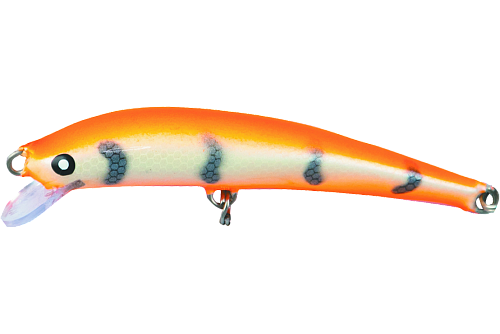 Nils Master Invincible Floating 12cm