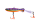 008