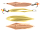 G/C
