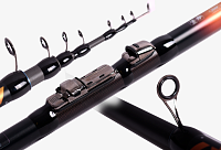 Maximus Queen Bolognese Maximus Queen Bolognese