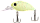 101
