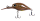 104