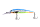 241