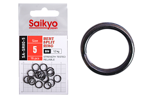   Saikyo SA-SR80-5 16 (12)