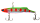 023 Broken Lime