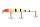 254