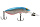Rus8