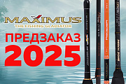     MAXIMUS  2025 !