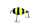 194