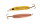 G/C