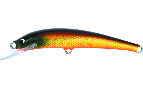 Nils Master Invincible Floating 15cm