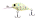 101