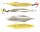 S/G