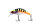 025