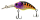 025