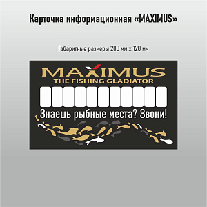 Автовизитка Maximus 2 под стекло авто