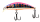 176