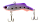 063 Purple Rain