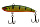 014 Hot Perch